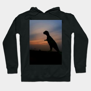 Dino Special Hoodie